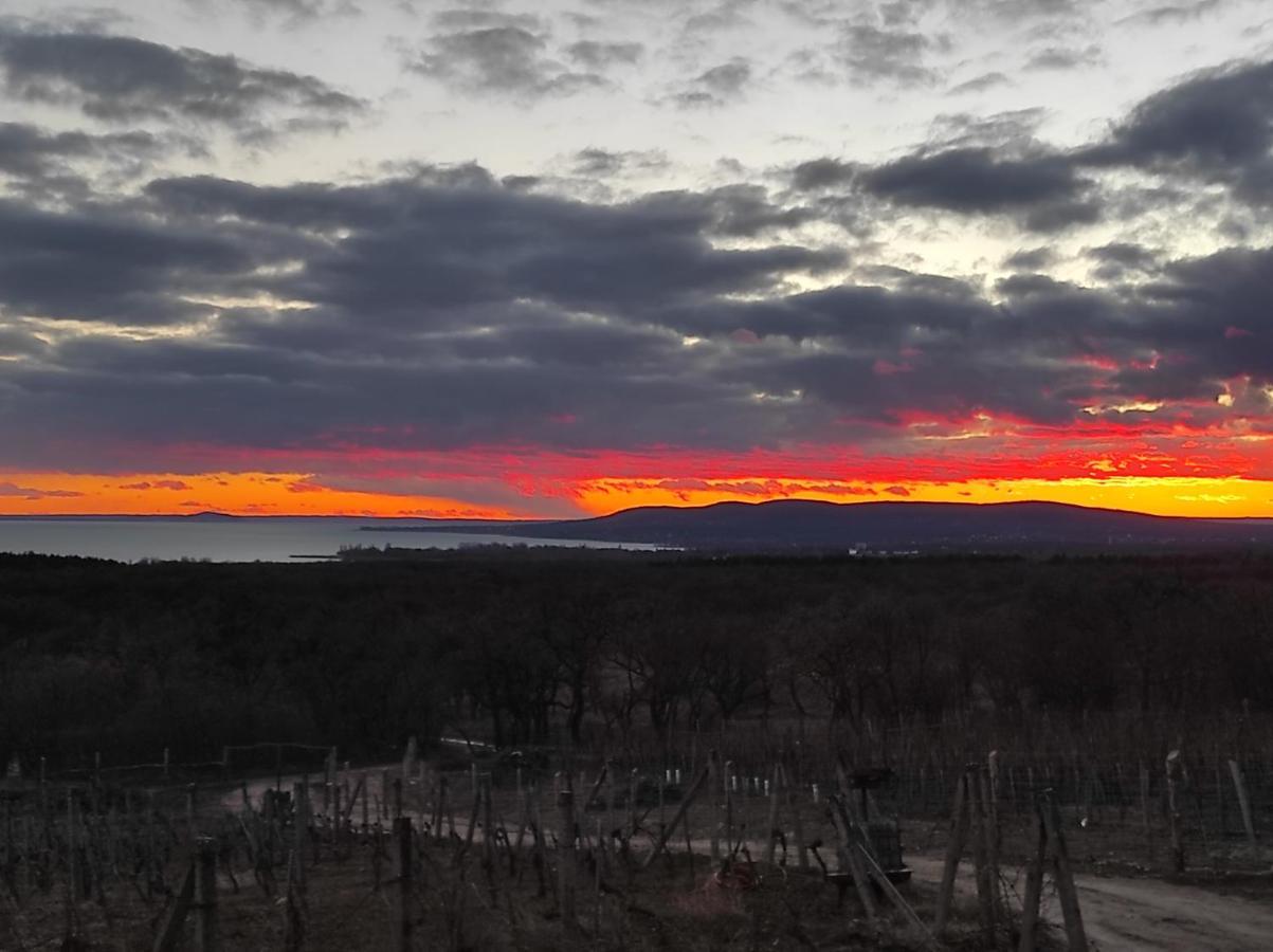 Napraszállás Vendégház Balatonakali Exterior foto