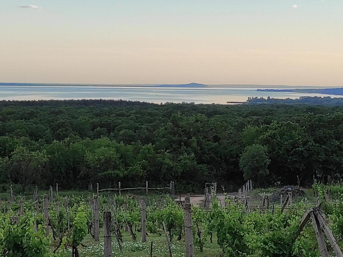 Napraszállás Vendégház Balatonakali Exterior foto