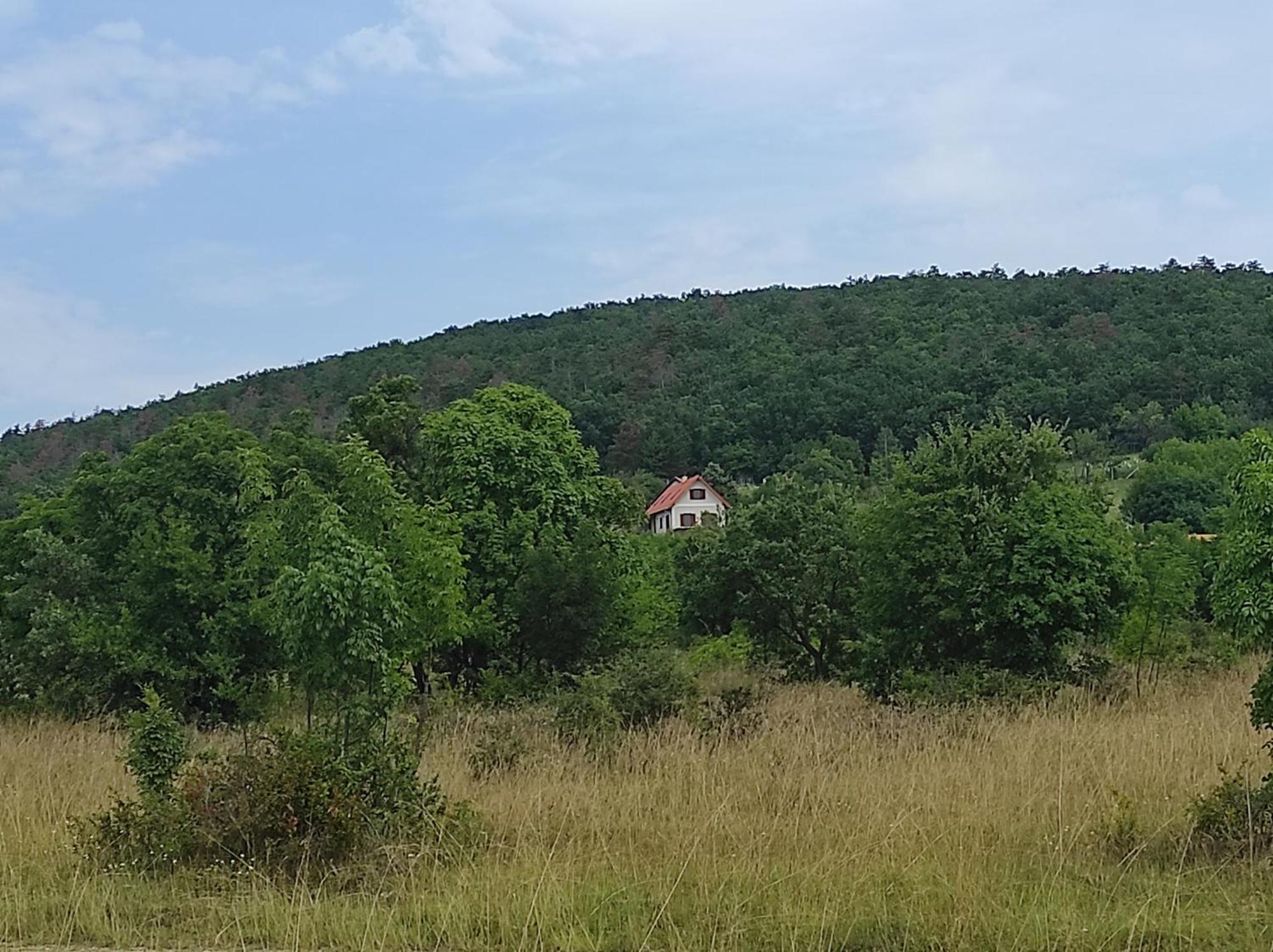 Napraszállás Vendégház Balatonakali Exterior foto