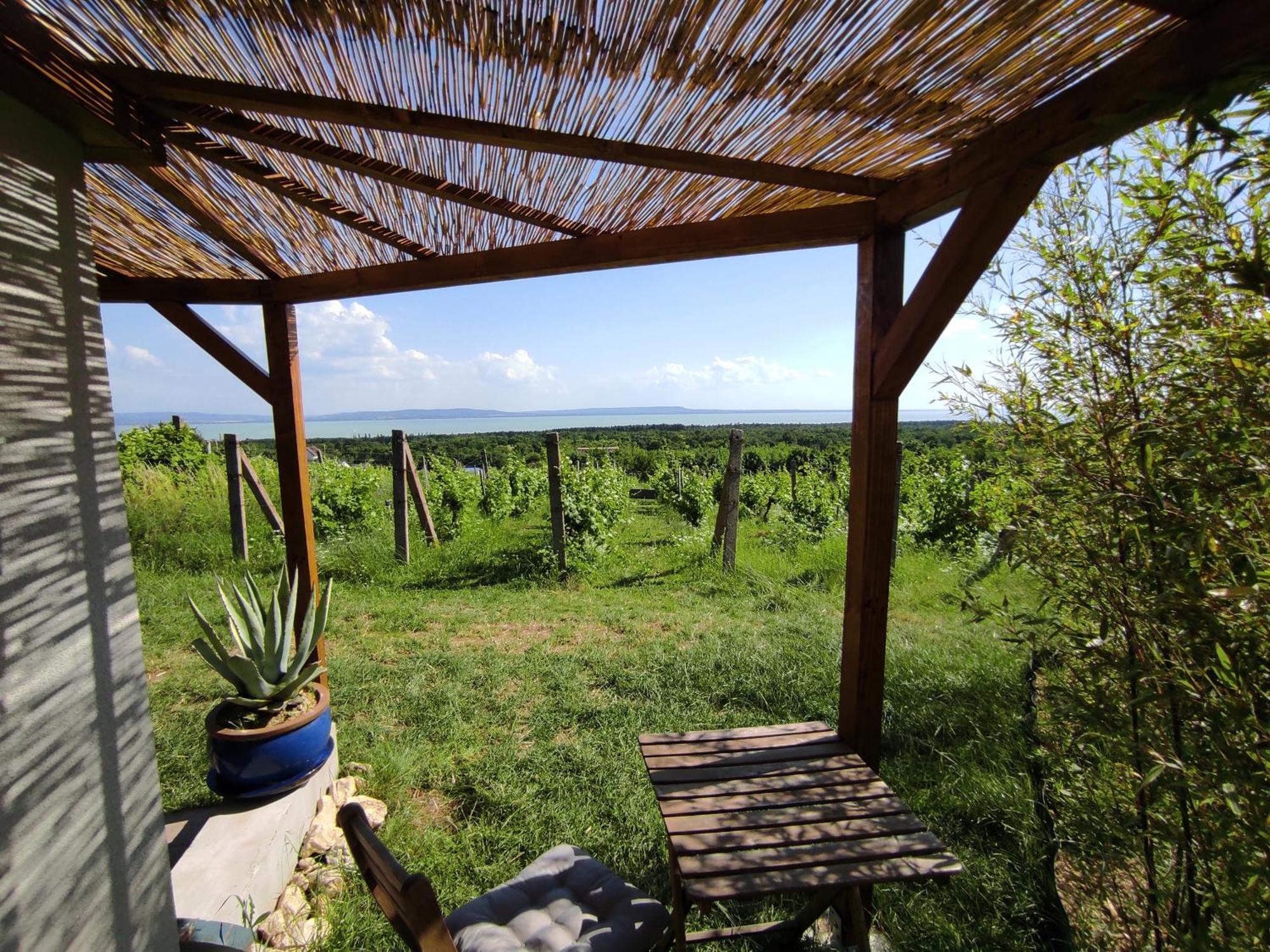 Napraszállás Vendégház Balatonakali Exterior foto
